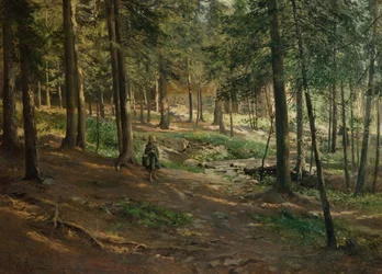 Forest Landscape