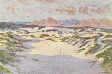 On the Sandhills near Muizenberg