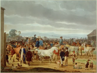 Horse Market