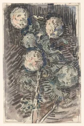 Branch with White Flowers