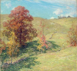 The Red Oak