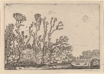 Herd of Sheep near the Hague