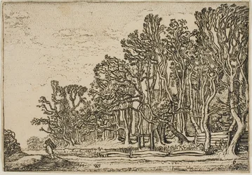 Landscape with Plank-Hedges and Man Bearing Wood
