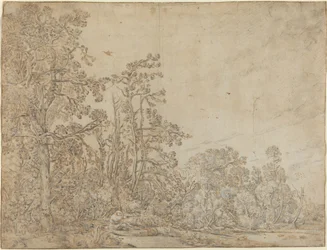 Woodland Pond with a Fisherman