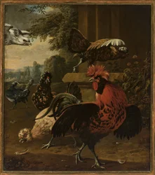 Birds Attacked by a Hawk