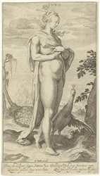 Juno with Peacock