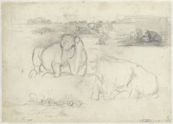 Sketches of Cows