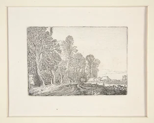 Road at the Edge of the Forest, Plate 4 from The Set of the Landscapes