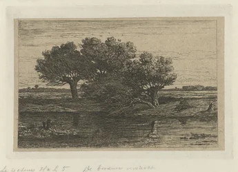 Fisherman by the Pollard Willows