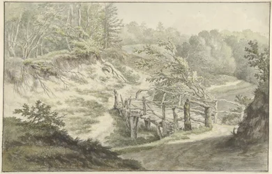 Dune Landscape with Wooden Bridge