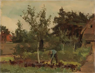 Vegetable Garden