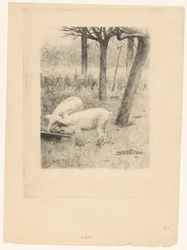 Two Pigs by a Trough
