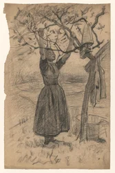 Woman Hanging Laundry in a Tree, to the Right