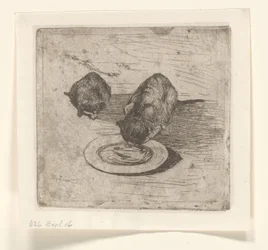 Two Cats, One Drinking from a Plate