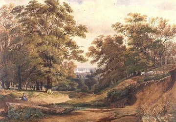 A Scene in Bagley Wood near Oxford