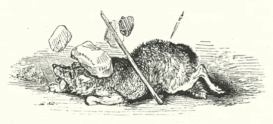 Death of the Wolf