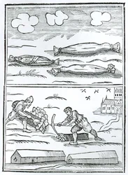 Facsimile of the Hieroglyphic of the Great Plague from 
