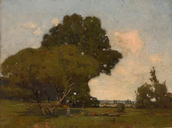 The Trees, Early Afternoon, France