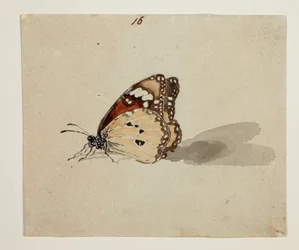 WD 961 f.16