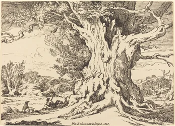 Resting, Men and Dogs under a Big Tree