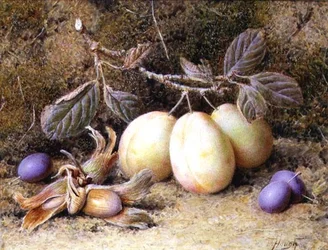 Still Life with Plums and Nuts