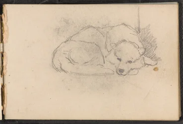 Sketch of a Sleeping Dog