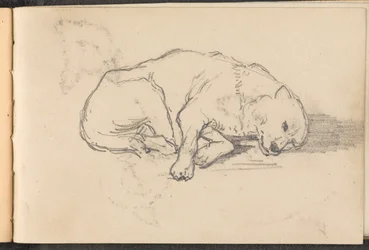 Sketch of a Sleeping Dog