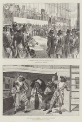 Sketches of Zanzibar