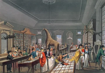 Interior of the Egyptian Hall, Piccadilly, Etched by the Artist, c.1815-25