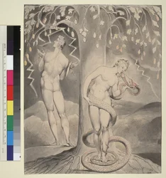 Illustration 9 to Milton
