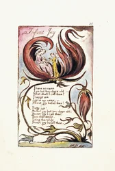 Infant Joy