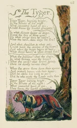 The Tiger, by William Blake