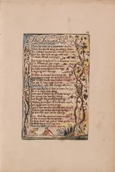Songs of Innocence and of Experience, Plate 54, The School Boy (Bentley 53)