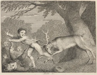 The Tame Stag