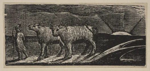 Unyoked Heifers, Loitering Homeward (from Thornton