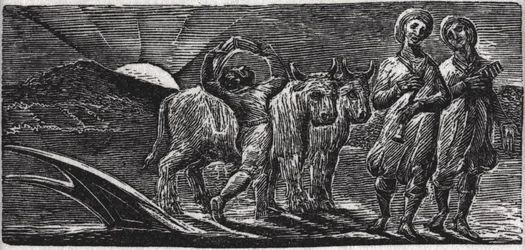 With Songs the Jovial Hinds Return from Plow, illustration from Dr. Thornton