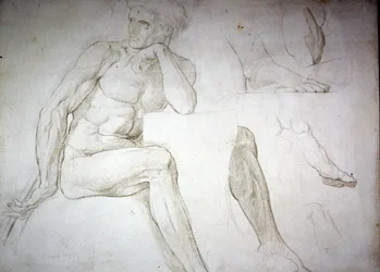 Male Nude Studies