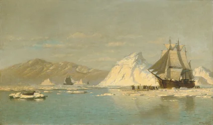 Off Greenland - Whaler Seeking Open Water