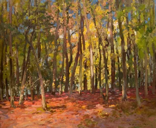 The Witches Wood