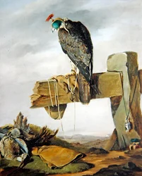 A Peregrine Falcon in its Hood with a Curlew on the Ground