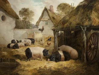 Cottage Hospitality