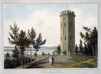 Nelson