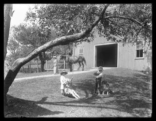 Children of the McCready Family with a Dog and Puppy Gathered Around a Rope Swing Outside a Barn, c.1913