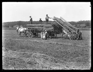 Farm Workers Loading Hay on to Horse-Drawn Hay Wagon as Three Children Watch, McCready Farm, Crawford County, Pennsylvania