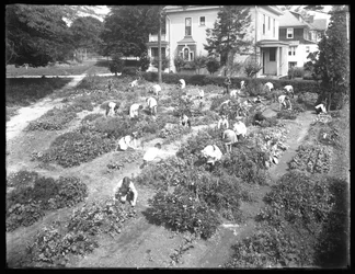 High-angle shot of children working in the garden at the Poppenhusen branch of the Queens Borough Public Library, August 14, 1915