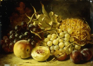 A Still Life with Grapes, Peaches, Plums and a Pineapple
