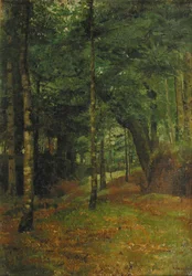 Study of Sun Shining Through the Trees, Concarneau