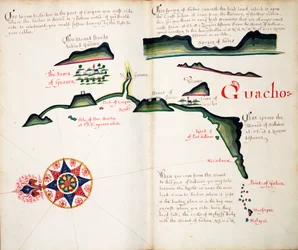 Guacho