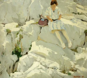 Butterfly on the Rocks