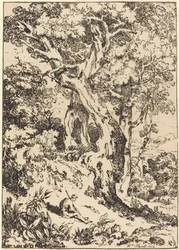 Study of Trees and Shrubs with Seated Figure